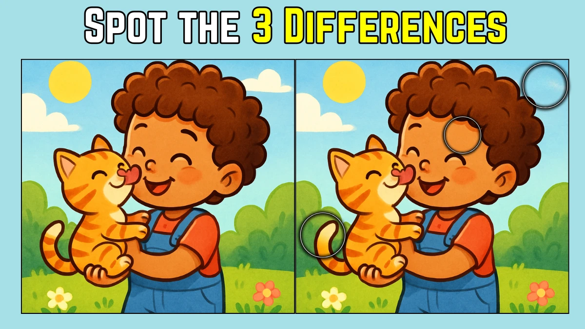 Picture Puzzle IQ Test: Within 8 Seconds Spot The 3 Differences in this Girl Playing with Cat Image