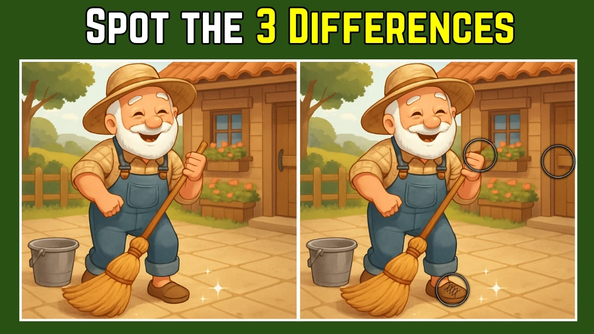 Picture Puzzle IQ Test: Within 8 Seconds Spot The 3 Differences in this Old Man Cleaning Floor Image