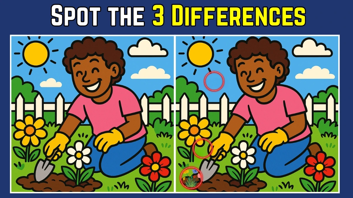 Spot the Difference: Only the sharpest eyes can spot 3 differences in this Gardening Image in 7 Secs