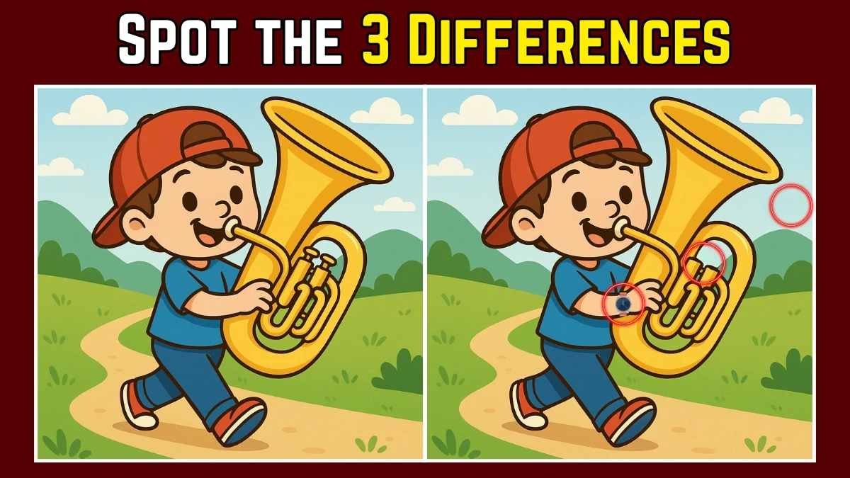 Spot the Difference: Within 7 Seconds Spot The 3 Differences in this Boy Playing Instrument Image