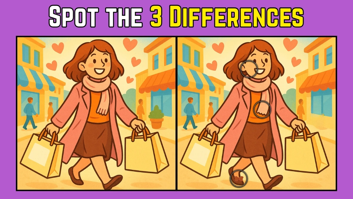 Spot the Difference: Within 7 Seconds Spot The 3 Differences in this Woman Carrying Grocery Image