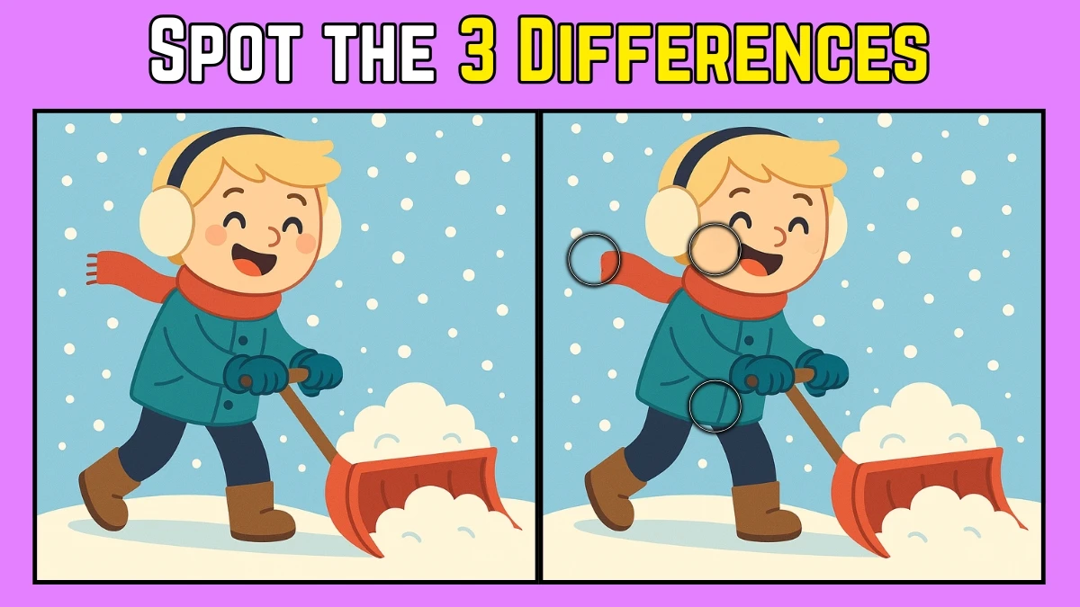 Spot the Difference: Within 8 Seconds Spot The 3 Differences in this Boy Cleaning Snow Image