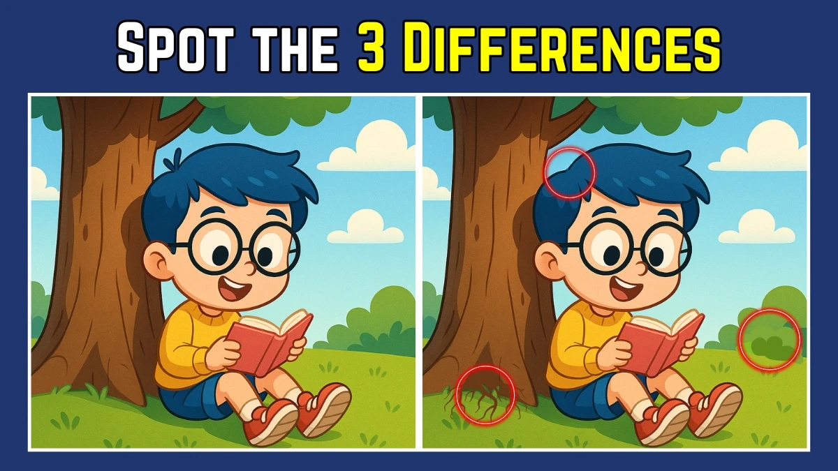 Spot the Difference: Within 8 Seconds Spot The 3 Differences in this Boy Reading a Book Image
