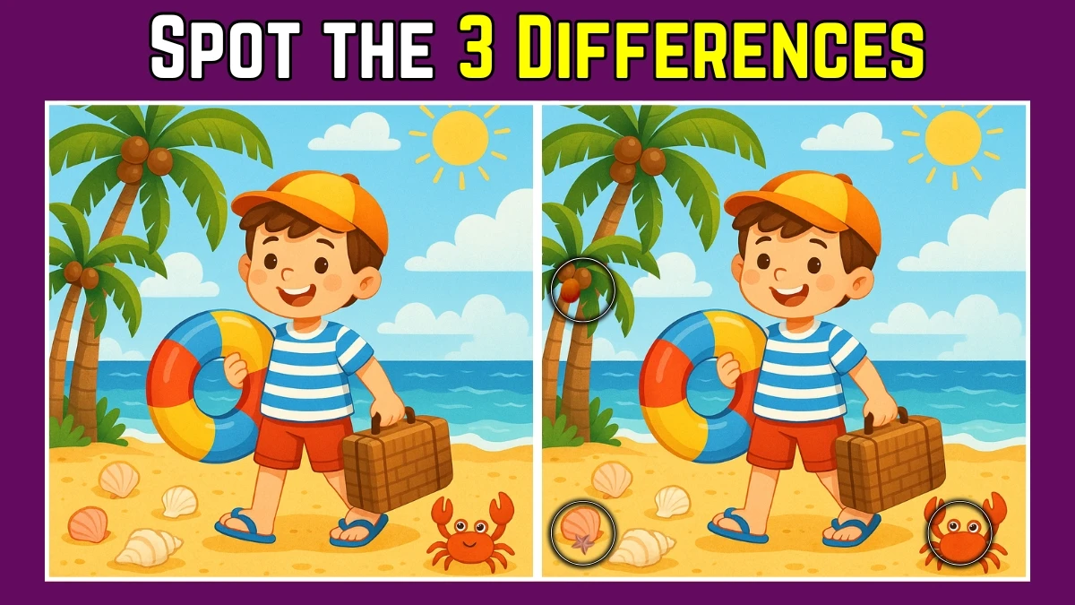 Spot the Difference: Within 8 Seconds Spot The 3 Differences in this Boy standing on a Beach Image