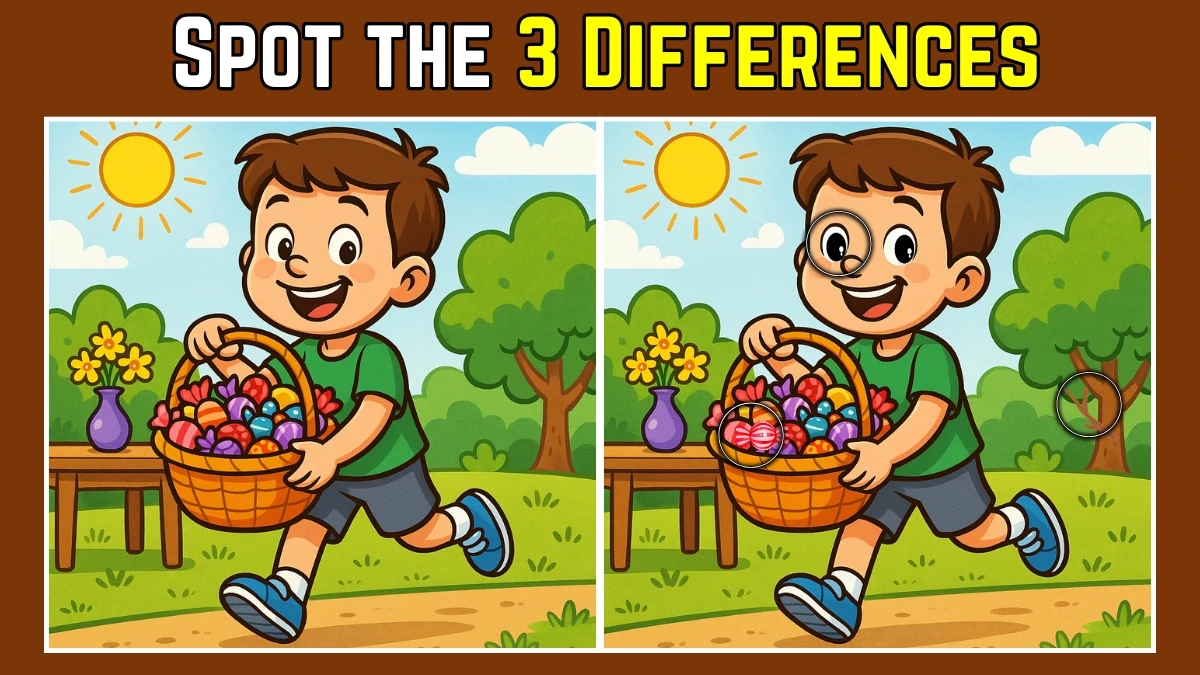 Spot the Difference: Within 8 Seconds Spot The 3 Differences in this Boy With Candies Basket Image