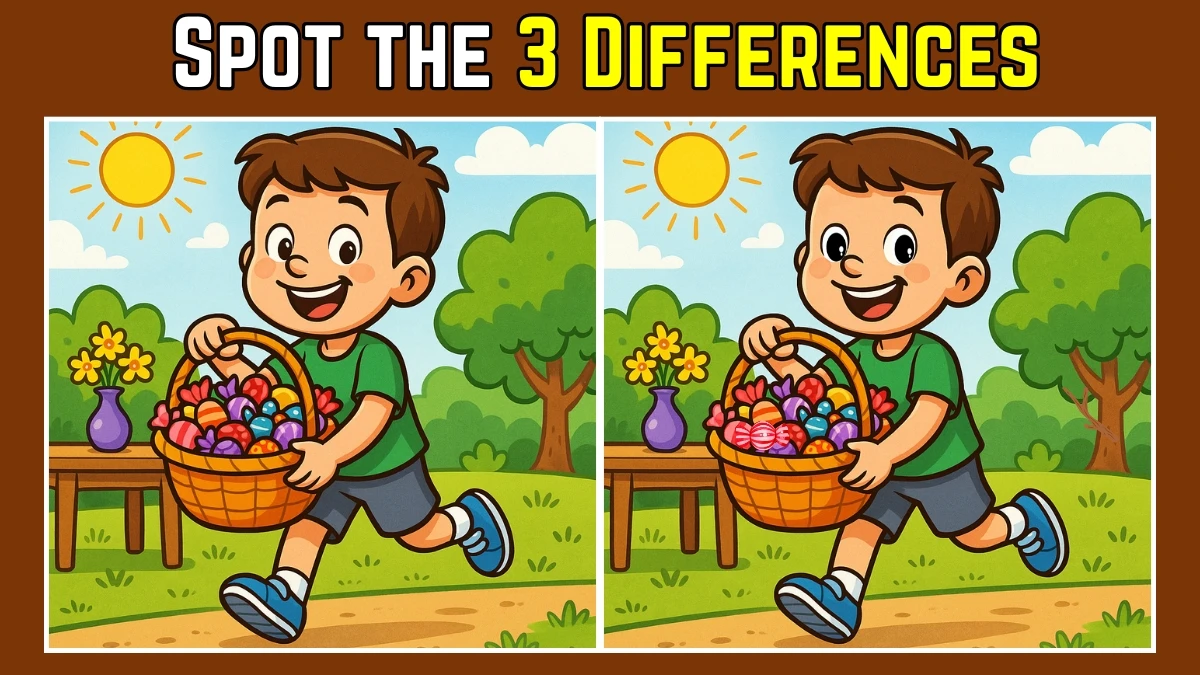 Spot the Difference: Within 8 Seconds Spot The 3 Differences in this Boy With Candies Basket Image