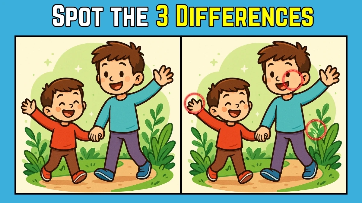 Spot the Difference: Within 8 Seconds Spot The 3 Differences in this Brothers Image