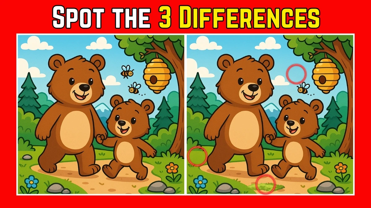 Spot the Difference: Within 8 Seconds Spot The 3 Differences in this Brown Bears Image