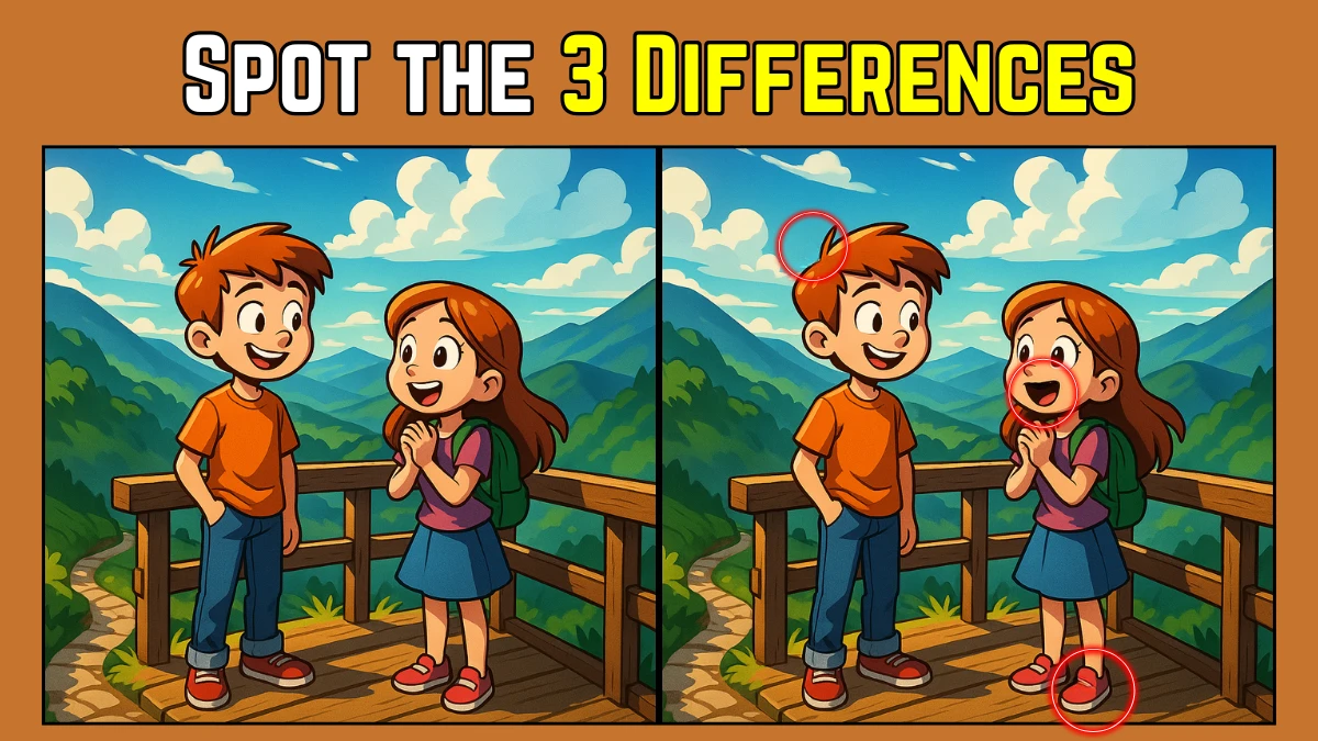 Spot the Difference: Within 8 Seconds Spot The 3 Differences in this Couple Image