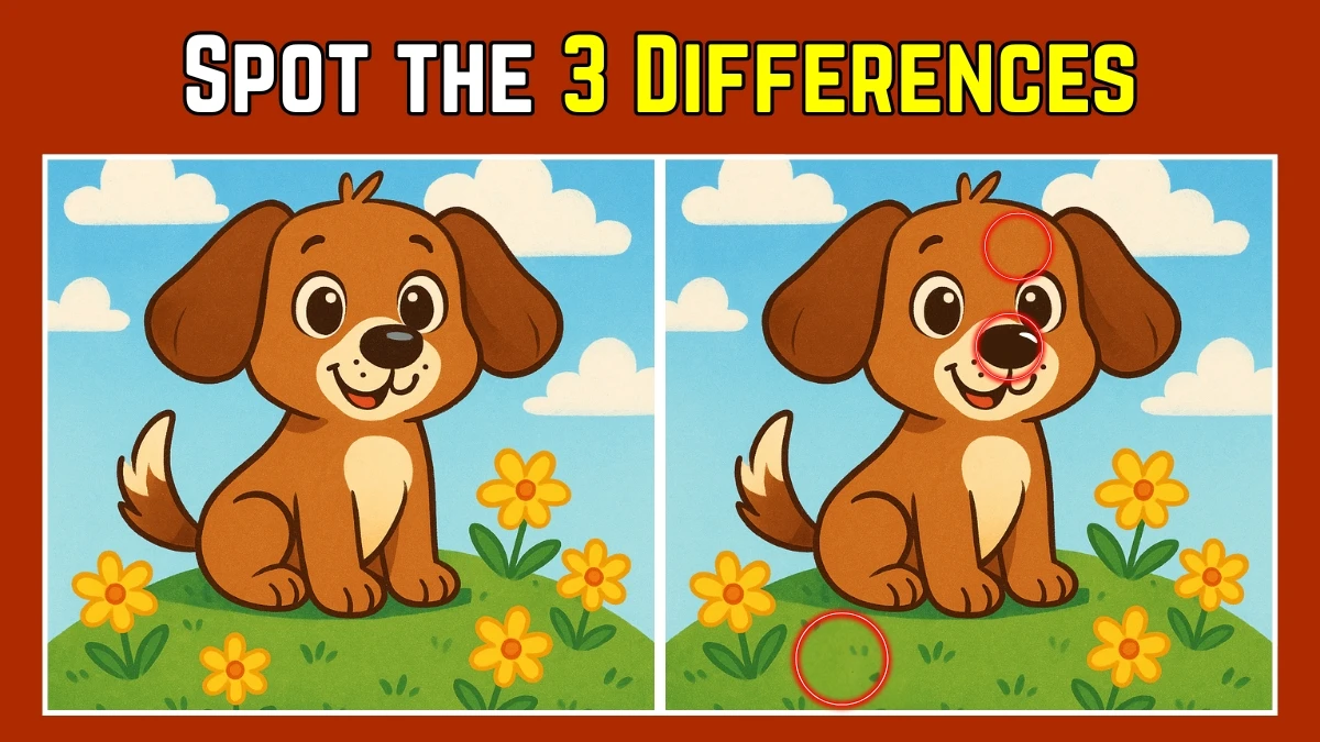 Spot the Difference: Within 8 Seconds Spot The 3 Differences in this Dog Image