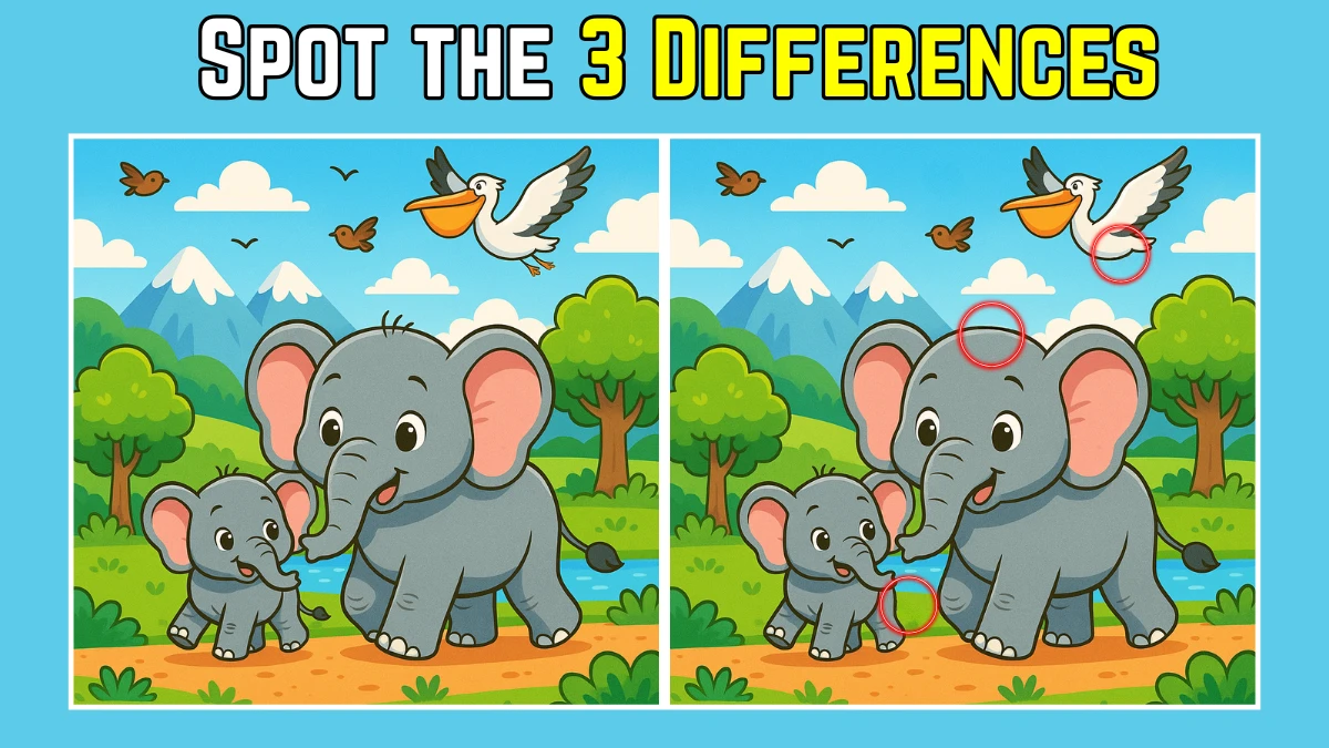 Spot the Difference: Within 8 Seconds Spot The 3 Differences in this Elephant Image