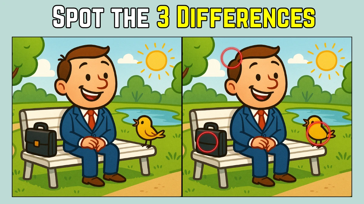 Spot the Difference: Within 8 Seconds Spot The 3 Differences in this Man in Park Image