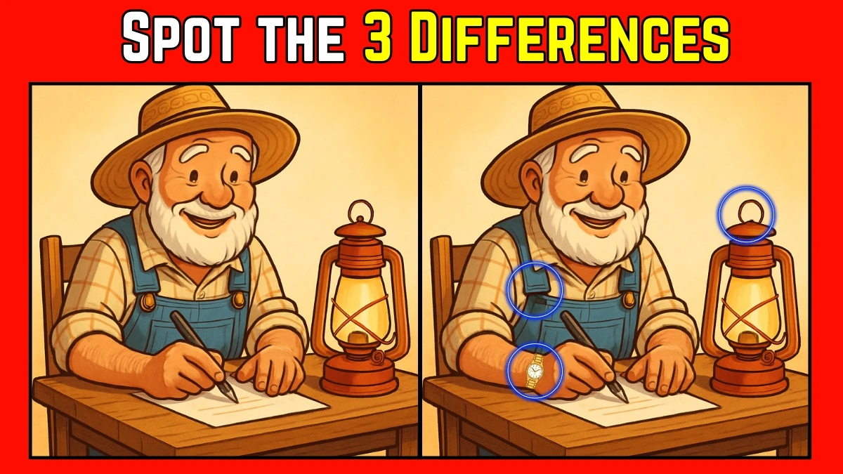 Spot the Difference: Within 8 Seconds Spot The 3 Differences in this Old Man Image