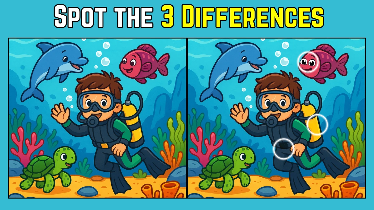 Spot the Difference: Within 8 Seconds Spot The 3 Differences in this Scuba diving Image