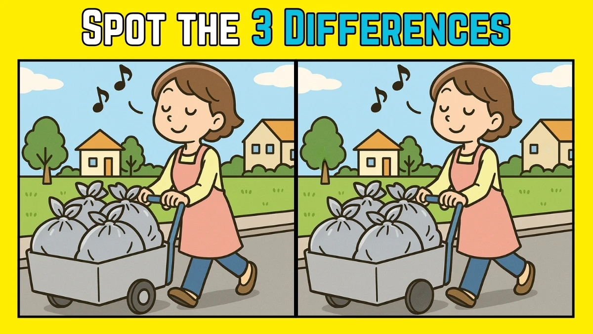 Spot the Difference: Within 8 Seconds Spot The 3 Differences in this Street Vendor Image
