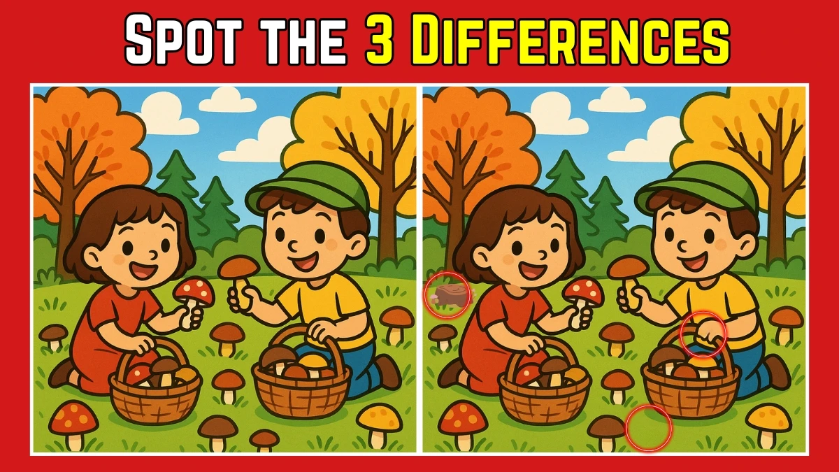 Spot the Difference: Within 8 Seconds Spot The 3 Differences in this Two Children Image