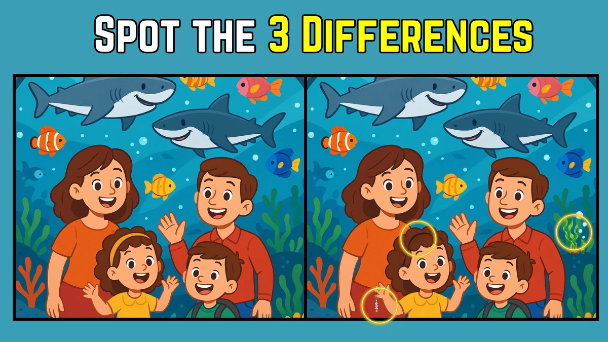 Spot the Difference: Within 9 Seconds Spot The 3 Differences in this Aquarium Image