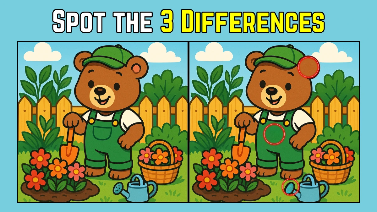 Spot the Difference: Within 9 Seconds Spot The 3 Differences in this Bear Planting Image