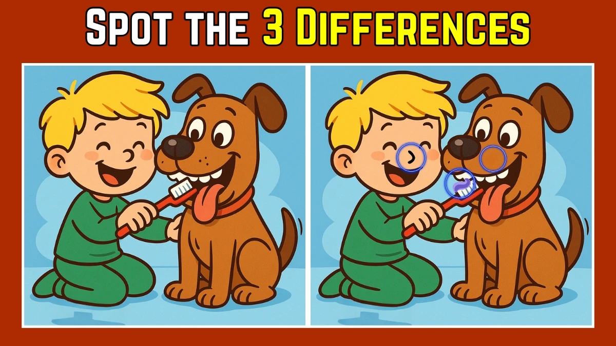 Spot the Difference: Within 9 Seconds Spot The 3 Differences in this Boy and Dog Image