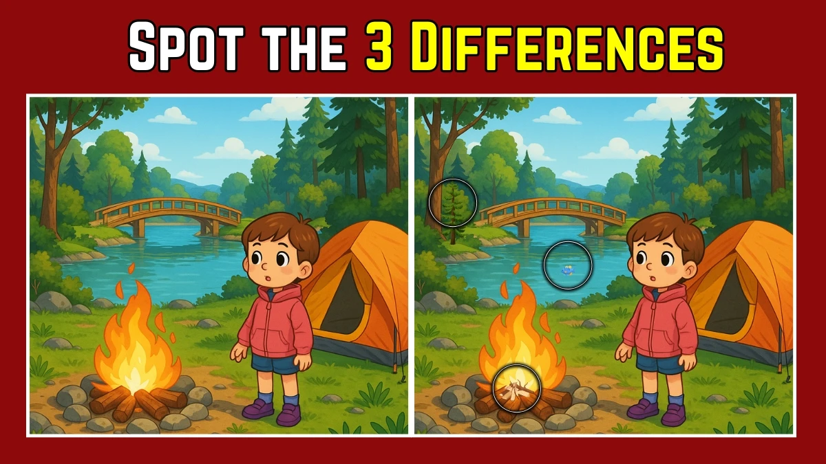 Spot the Difference: Within 9 Seconds Spot The 3 Differences in this Boy Camping Image