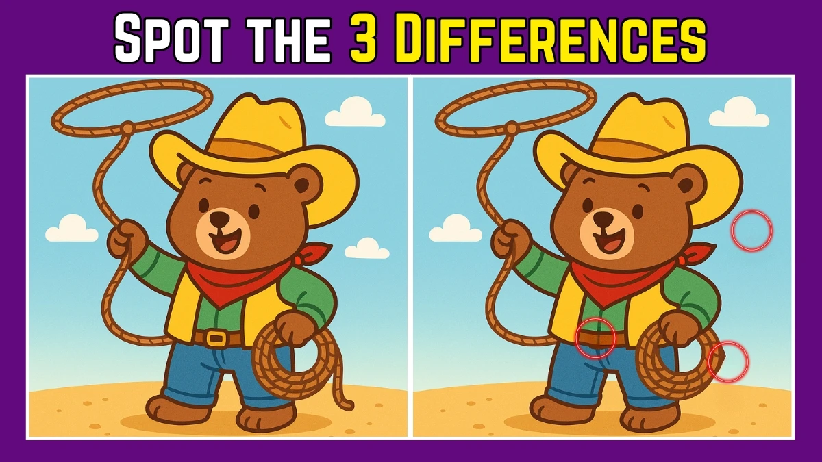 Spot the Difference: Within 9 Seconds Spot The 3 Differences in this Cowboy Teddy Image