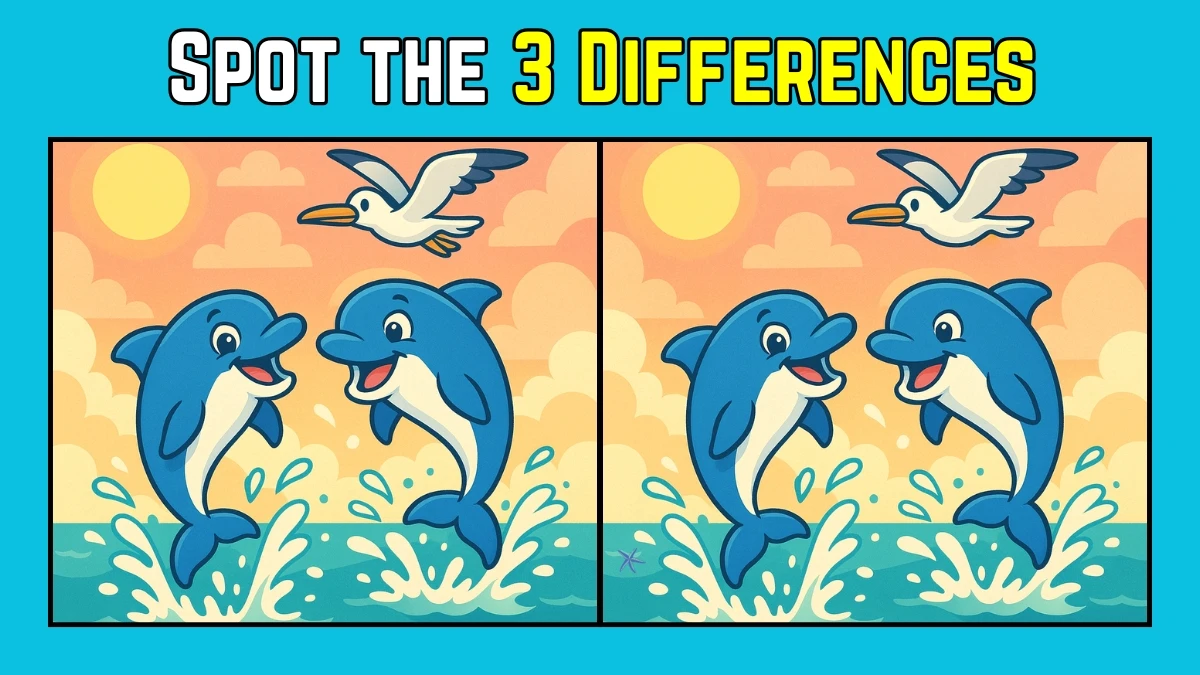 Spot the Difference: Within 9 Seconds Spot The 3 Differences in this Dolphin and Pelican Image