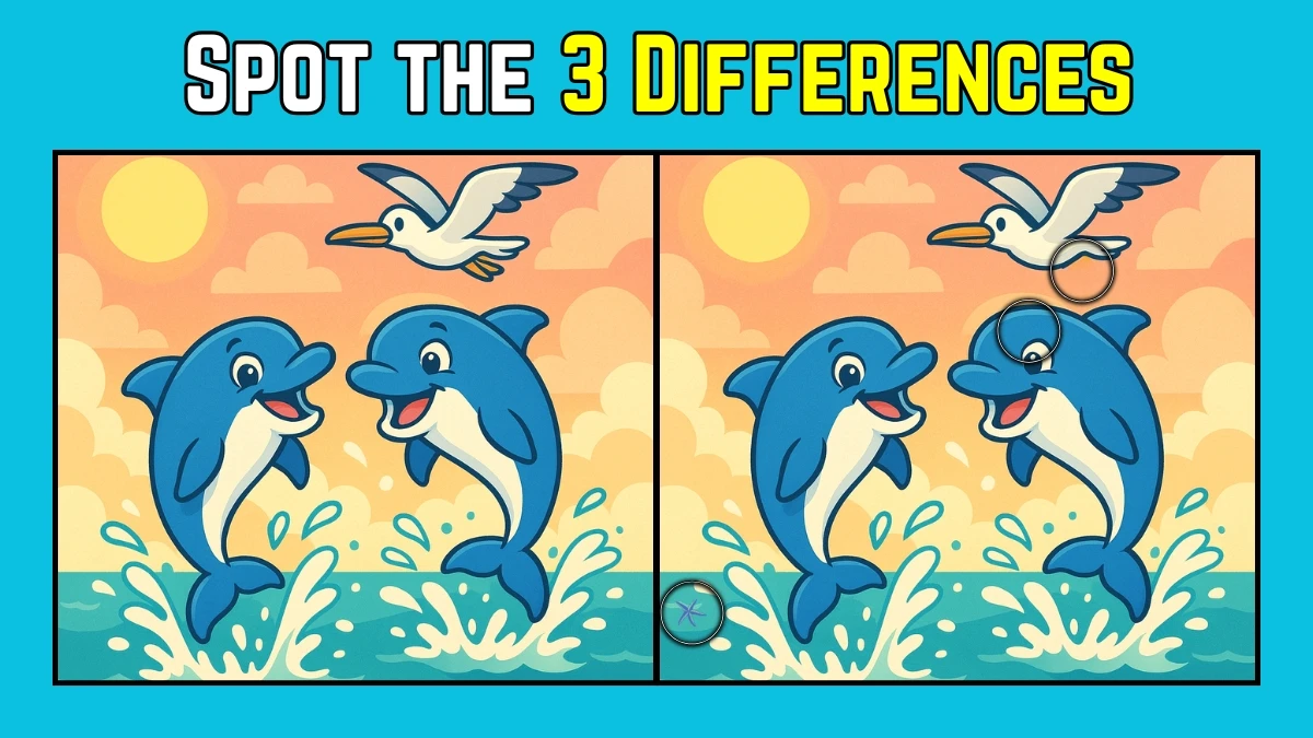 Spot the Difference: Within 9 Seconds Spot The 3 Differences in this Dolphin and Pelican Image
