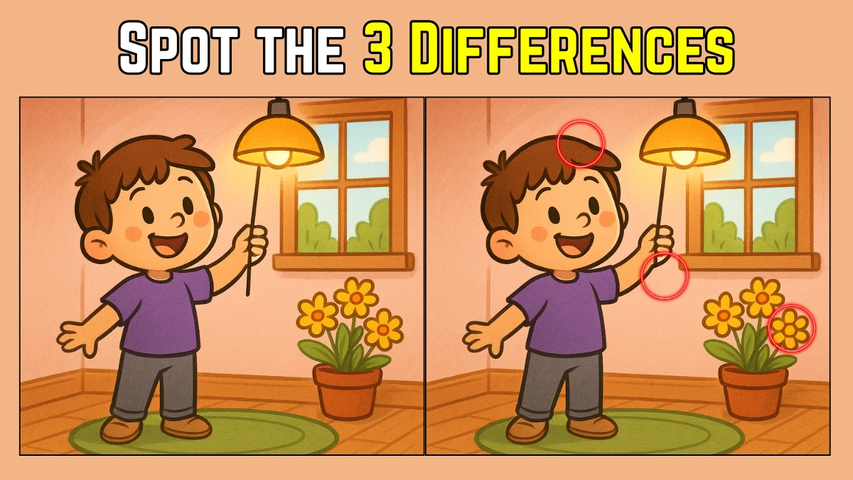 Spot the Difference: Within 9 Seconds Spot The 3 Differences in this Little Boy Image