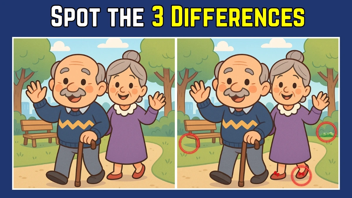 Spot the Difference: Within 9 Seconds Spot The 3 Differences in this Old Couple Image