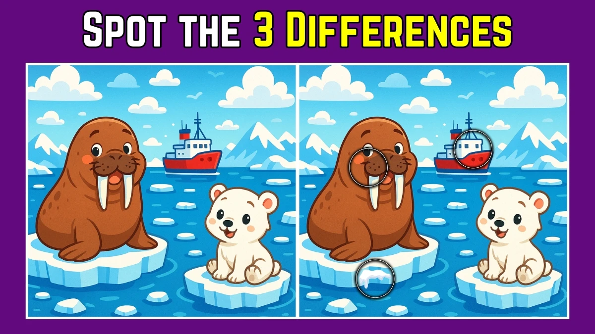 Spot the Difference: Within 9 Seconds Spot The 3 Differences in this Walrus and Polar Bear Image