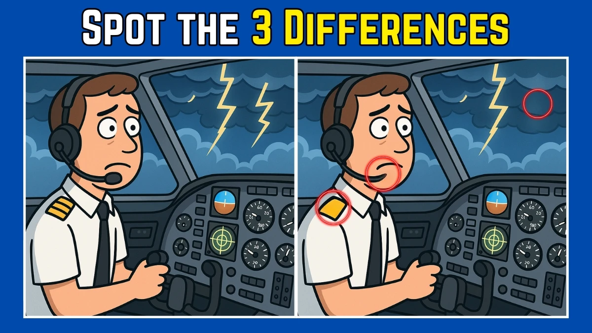 Spot the Difference: Within 7 Seconds Spot The 3 Differences in this Pilot Image