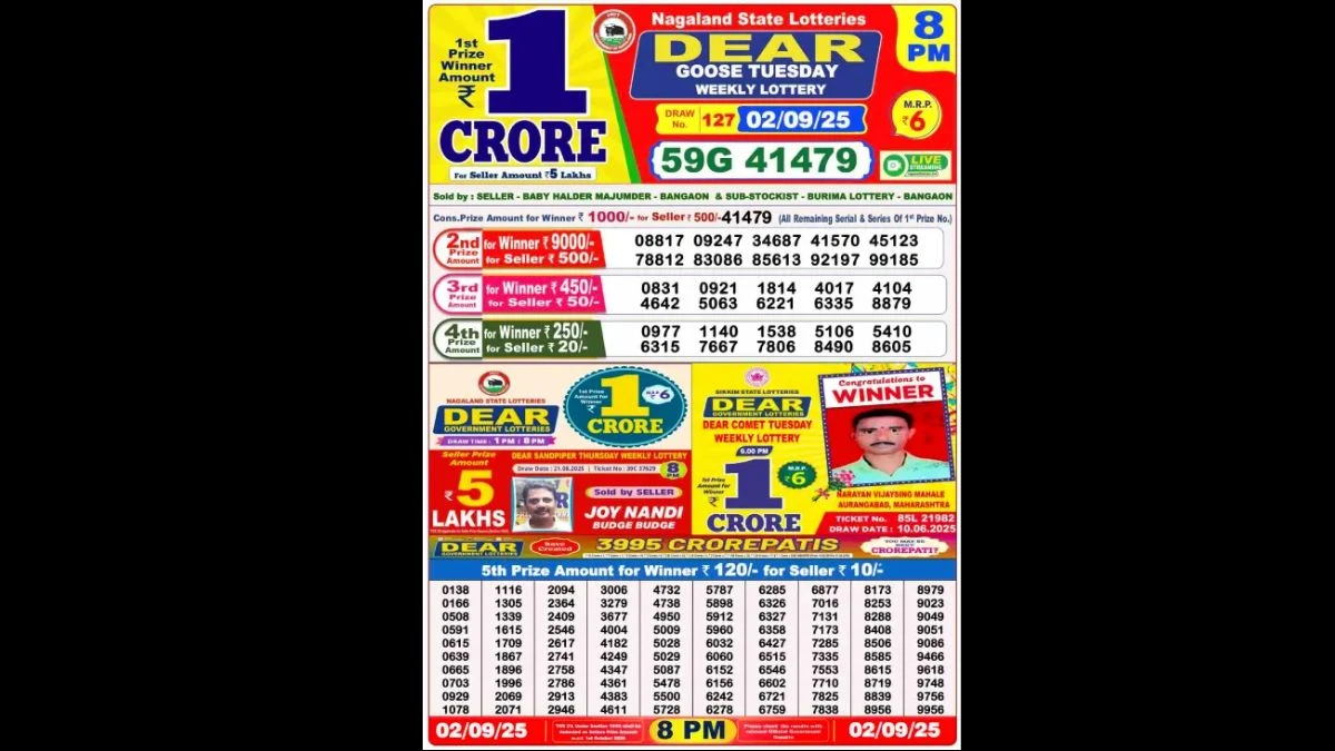 Nagaland Dear Lottery Sambad Result Today 02/09/2025 8 PM OUT: Check all Dear Goose Tuesday Winning Numbers Here