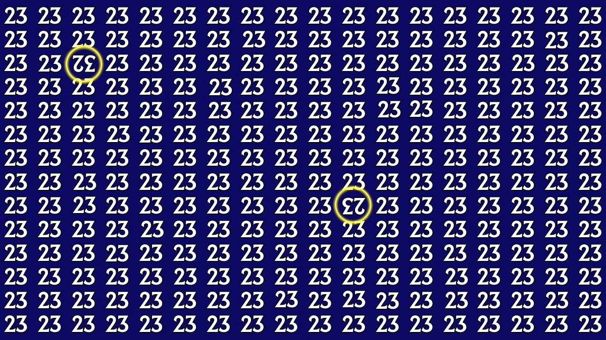 Inverted Optical Illusion: Within 6 Seconds Spot The Inverted 23 and 32 among 23s