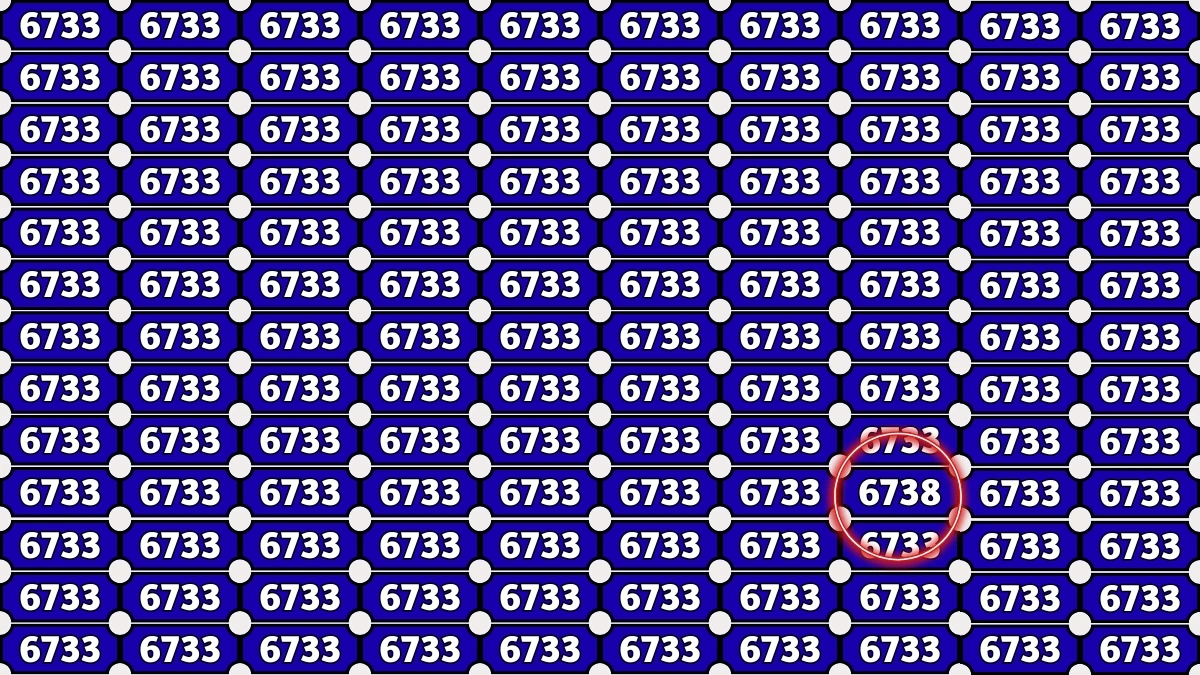 Optical Illusion Puzzle IQ Test: Within 8 Seconds Spot The Number 6738 among 6733s