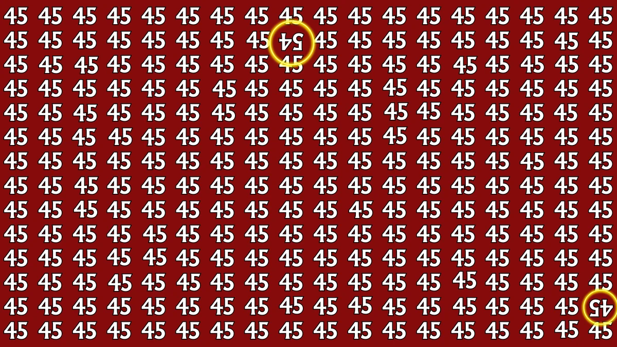 Observation Find it Out: Within 5 Seconds Spot The Inverted Number 45 and 54 among 45