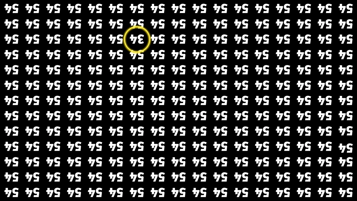 Observation Find It Out: Within 6 Seconds Spot The Inverted 34 among Inverted 54s