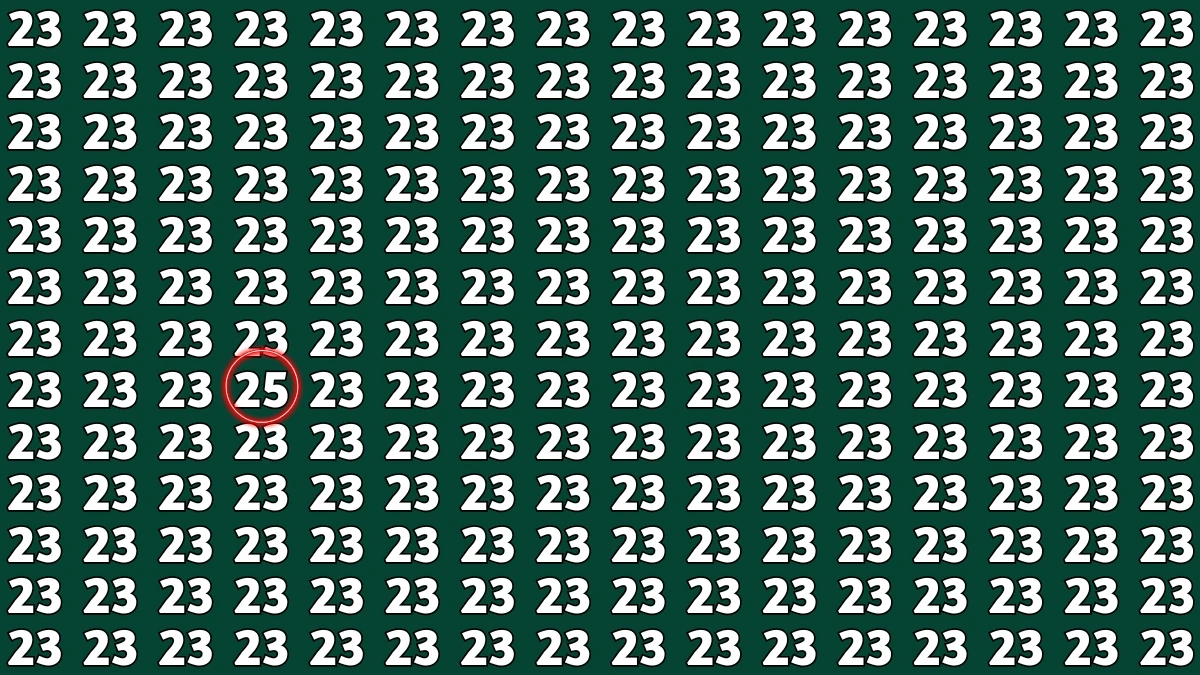 Observation Find It Out: Within 7 Seconds Spot The Number 25 among 23