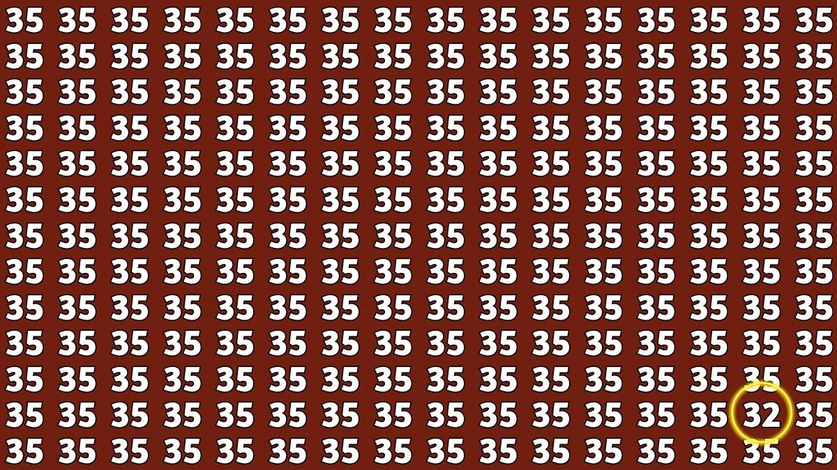 Observation Find It Out: Within 7 Seconds Spot The Number 32 among 35s