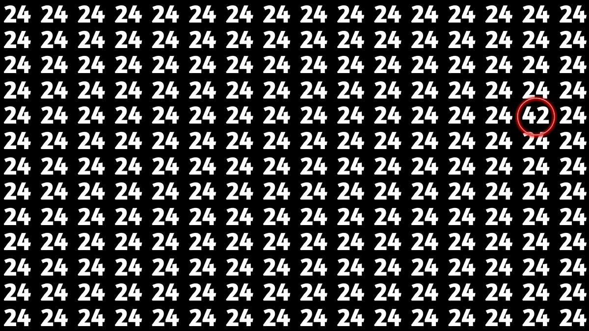 Observation Find It Out: Within 7 Seconds Spot The Number 42 among 24s