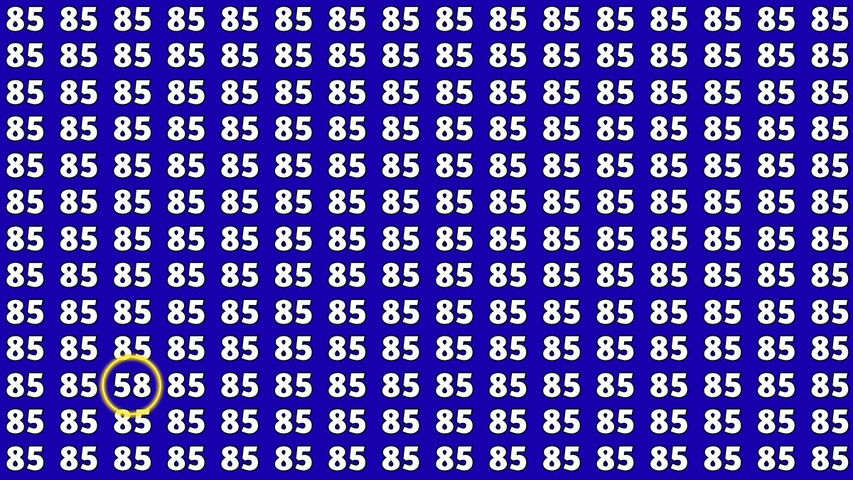 Observation Find It Out: Within 7 Seconds Spot The Number 58 among 85s