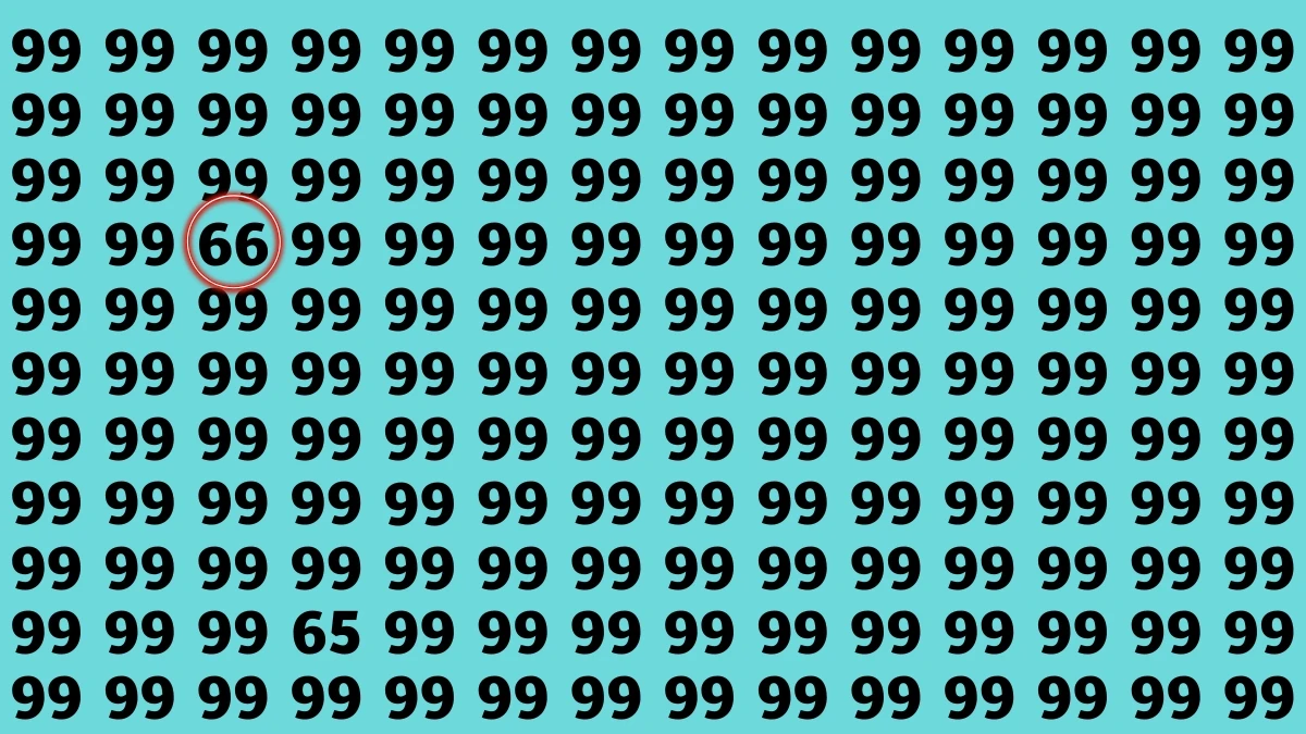 Observation Find it Out: Within 7 Seconds Spot The Number 66 among 99