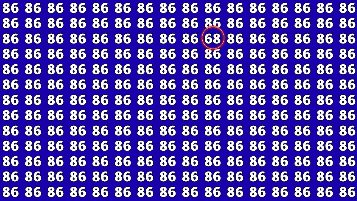 Observation Find It Out: Within 7 Seconds Spot The Number 68 among 86s