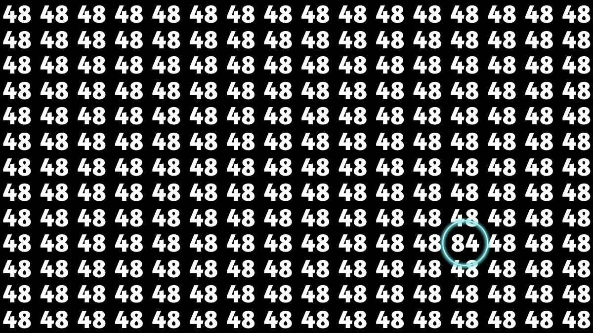 Observation Find It Out: Within 7 Seconds Spot The Number 84 among 48s
