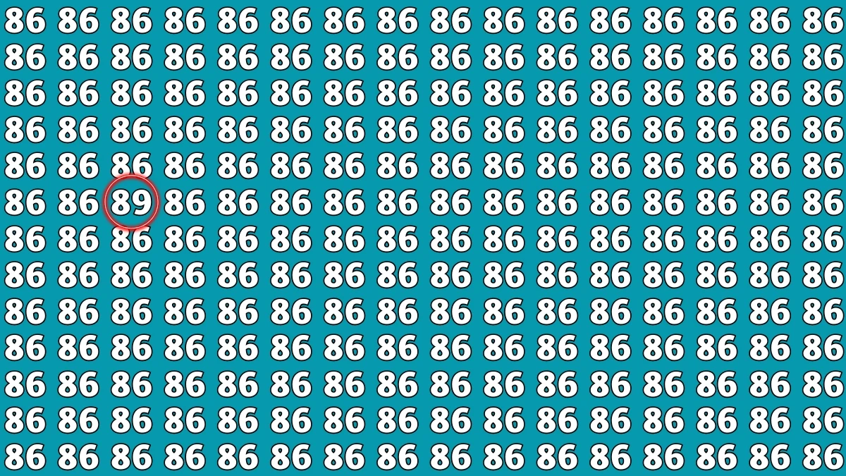 Observation Find It Out: Within 7 Seconds Spot The Number 89 among 86s