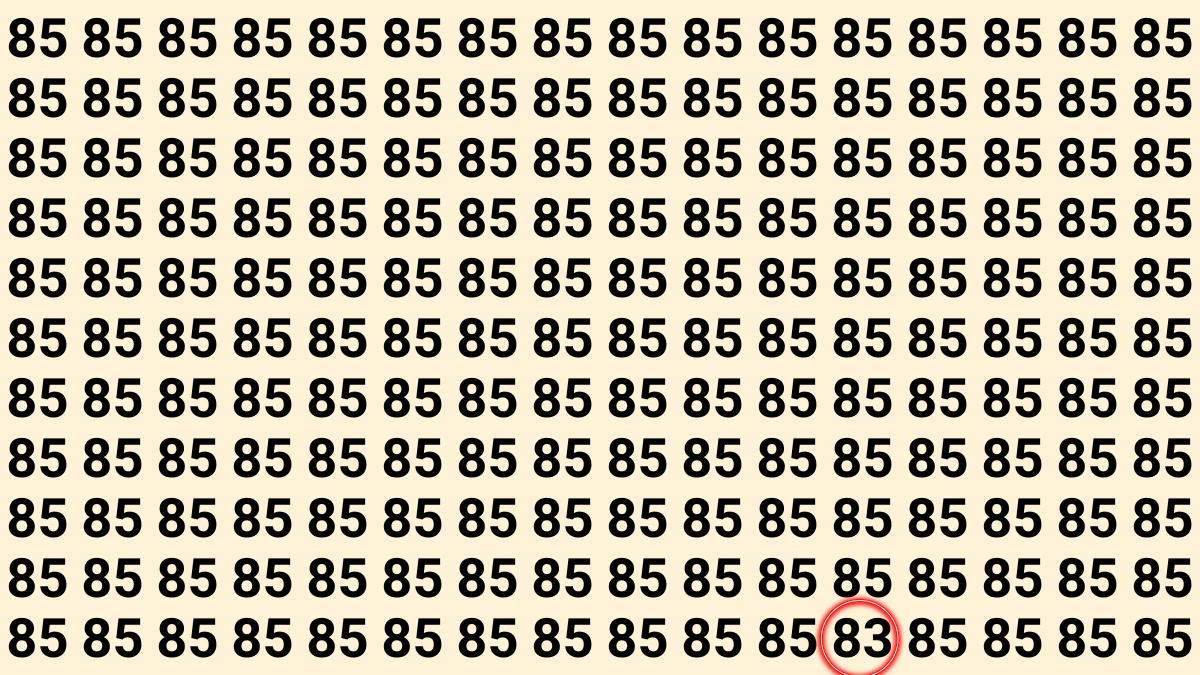 Observation Find It Out: Within 8 Seconds Spot The Number 83 among 85