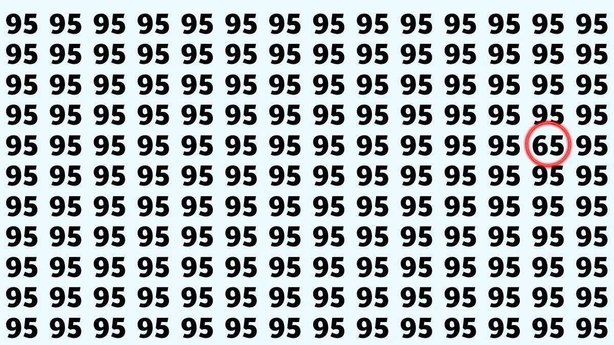 Observation Find it Out: Within 9 Seconds Spot The Number 65 among 95