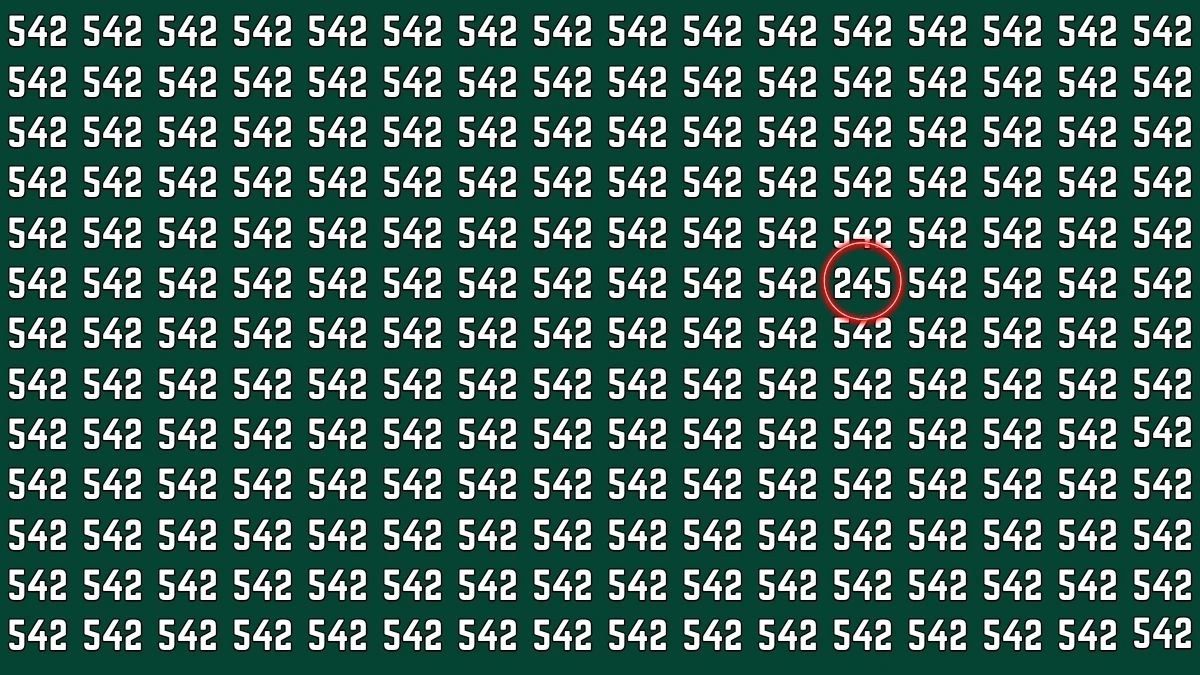 Optical Illusion 7 Seconds Challenge: Only People with Eagle Eyes Can spot the Number 245