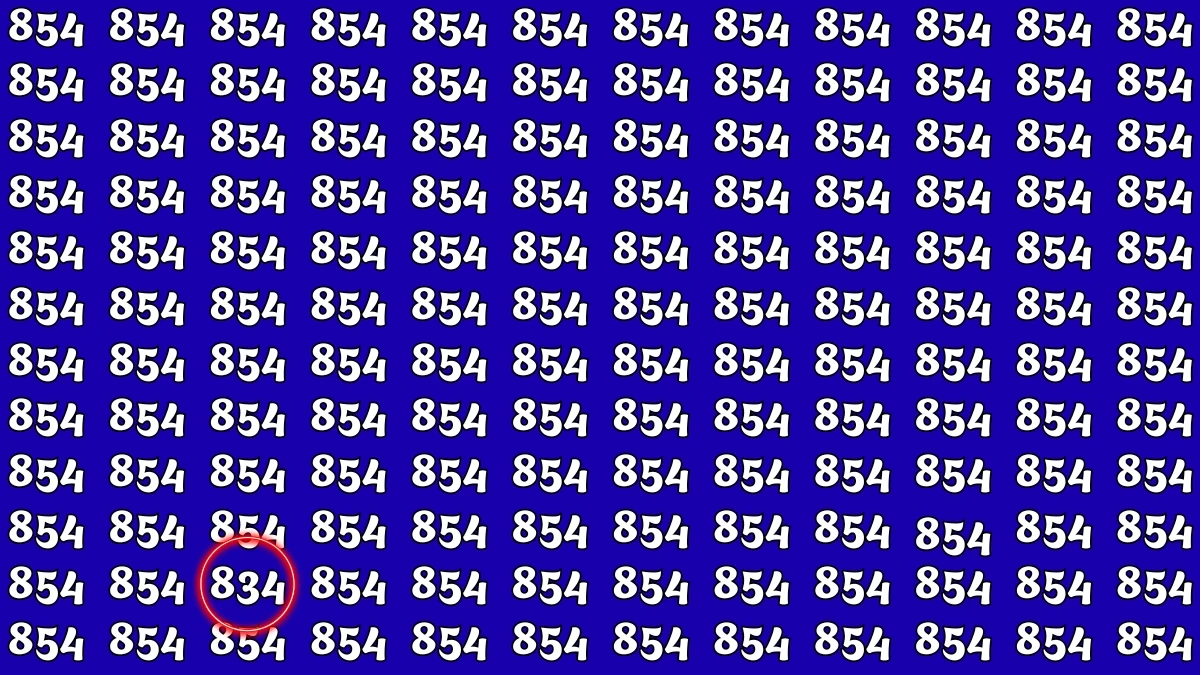 Optical Illusion 7 Seconds Challenge: Only People with Eagle Eyes Can spot the Number 834
