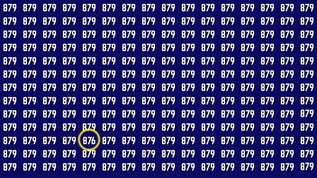 Optical Illusion 7 Seconds Challenge: Only People with Eagle Eyes Can spot the Number 876