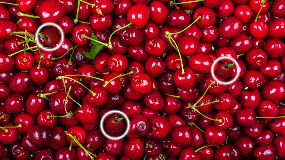 Optical Illusion: Can you spot 3 Apples among Cherries in Just 5 seconds?